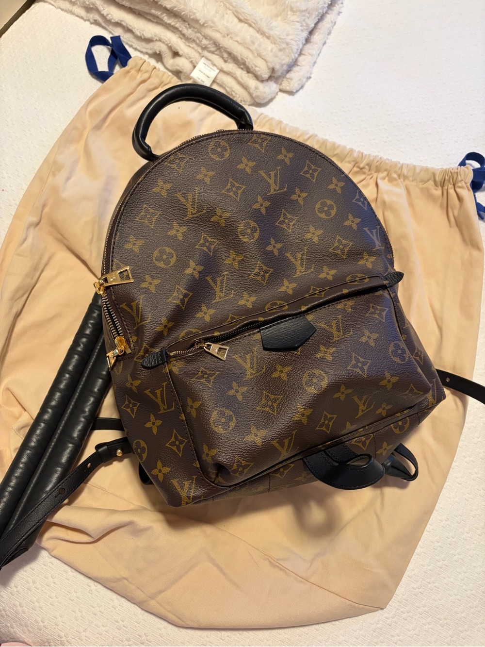 Louis Vuitton Monogram Canvas Backpack in Brown and Black